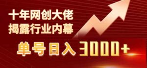 （9497期）单号日入3000+，工作室内部无脑美女视频玩法，100%过原创-大磊资源网