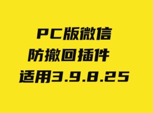 PC微信防撤回插件适用3.9.8.25-大磊资源网