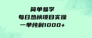 （9519期）简单易学，每日热榜项目实操，一单纯利1000+-大磊资源网