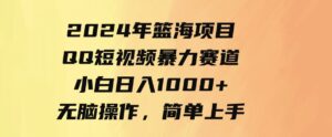 9532期）2024年篮海项目，QQ短视频暴力赛道，小白日入1000+，无脑操作，简单上手。-大磊资源网