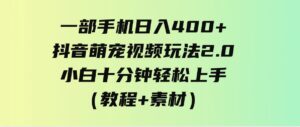 （9540期）一部手机日入400+，抖音萌宠视频玩法2.0，小白十分钟轻松上手（教程+素材）-大磊资源网