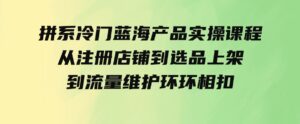 （9527期）拼系冷门蓝海产品实操课程，从注册店铺到选品上架到流量维护环环相扣-大磊资源网