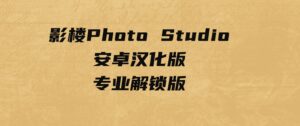 影楼PhotoStudio安卓汉化版–专业解锁版-大磊资源网
