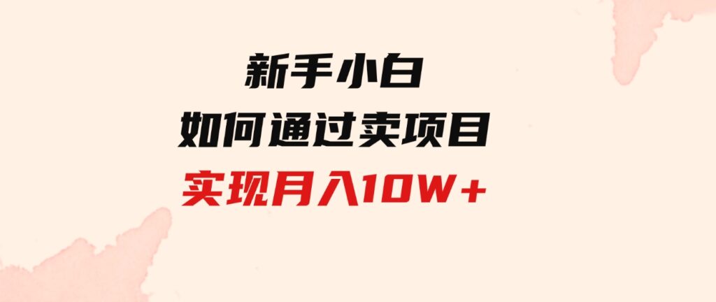 （9556期）新手小白如何通过卖项目实现月入10W+-大磊资源网
