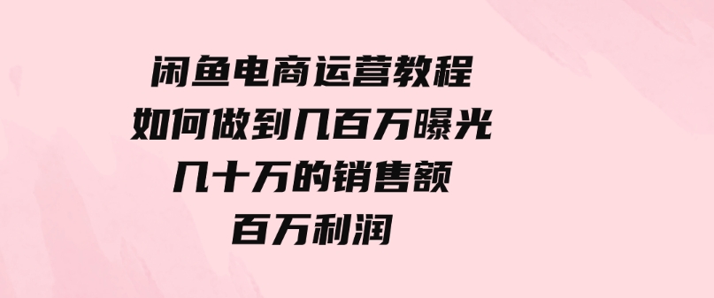 （9560期）闲鱼电商运营教程：如何做到几百万曝光，几十万的销售额，百万利润-大磊资源网