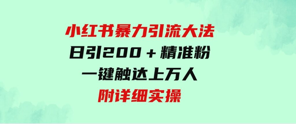 （9582期）小红书暴力引流大法，日引200＋精准粉，一键触达上万人，附详细实操-大磊资源网