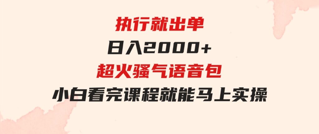 （9589期）执行就出单，日入2000+，超火骚气语音包，小白看完课程就能马上实操-大磊资源网