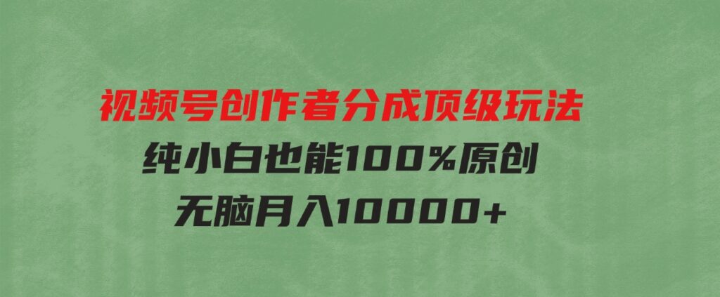（9608期）视频号创作者分成顶级玩法，纯小白也能100%原创，无脑月入10000+-大磊资源网