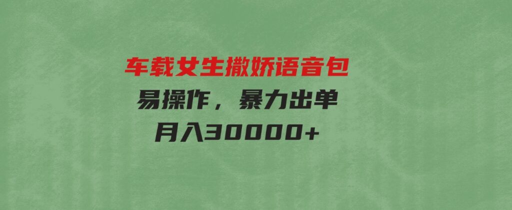 （9710期）车载女生撒娇语音包，易操作，暴力出单，月入30000+-大磊资源网