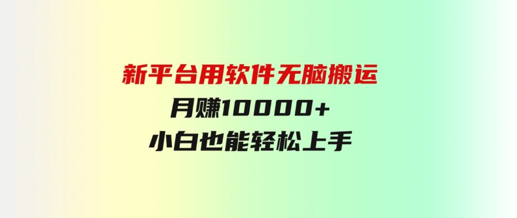 （9745期）新平台用软件无脑搬运，月赚10000+，小白也能轻松上手-大磊资源网