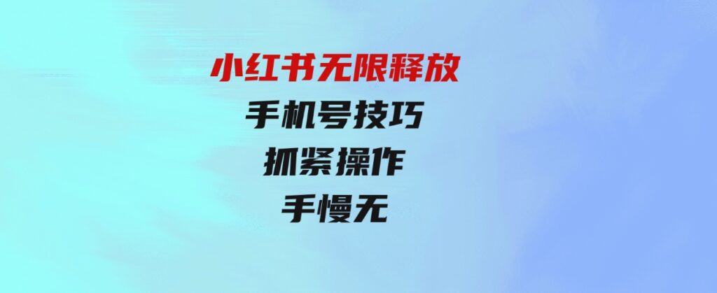 （9762期）小红书无限释放手机号技巧版手慢无-大磊资源网