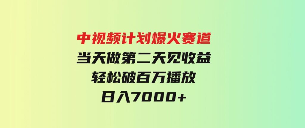 （9773期）中视频计划爆火赛道，当天做，第二天见收益，轻松破百万播放，日入7000+-大磊资源网