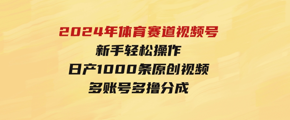 （9810期）2024年体育赛道视频号，新手轻松操作，日产1000条原创视频,多账号多撸分成-大磊资源网