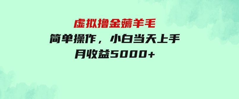 虚拟撸金薅羊毛，简单操作，小白当天上手，月收益5000+-大磊资源网