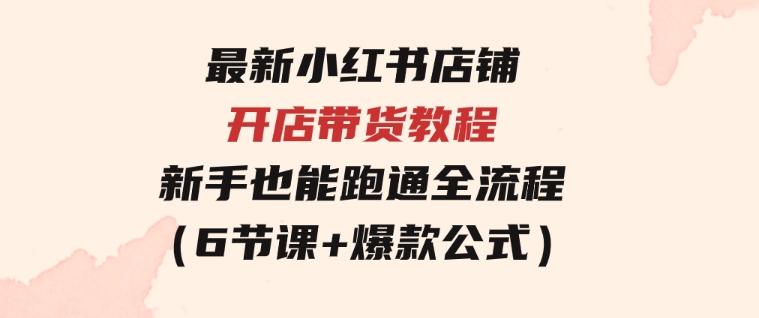 最新小红书店铺开店带货教程，新手也能跑通全流程（6节课+爆款公式）-大磊资源网