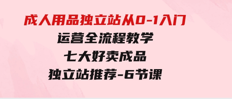 成人用品独立站从0-1入门，运营全流程教学，七大好卖成品独立站推荐-6节课-大磊资源网