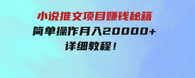 简单操作，月入20000+，详细教程！小说推文项目赚钱秘籍！-大磊资源网