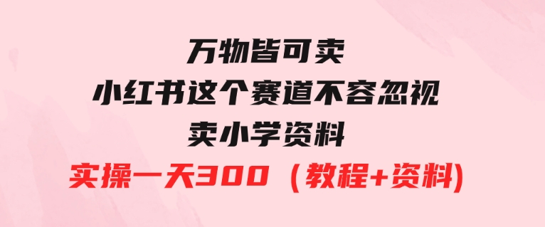 万物皆可卖，小红书这个赛道不容忽视，卖小学资料实操一天300（教程+资料)-大磊资源网