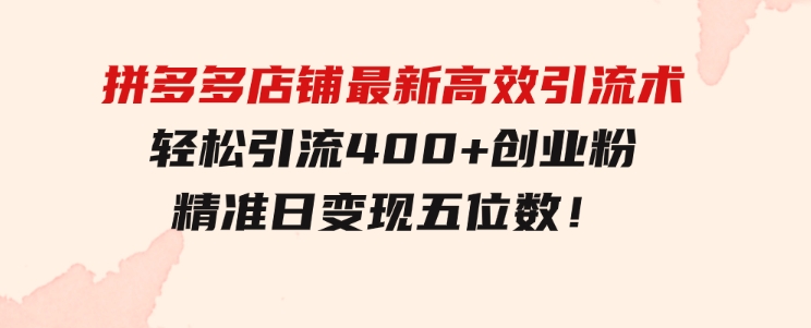 拼多多店铺最新高效引流术，轻松引流400+创业粉，精准日变现五位数！-大磊资源网