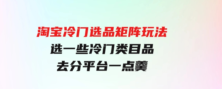 淘宝冷门选品矩阵玩法：换种玩法，选一些冷门类目品，去分平台一点羹-大磊资源网