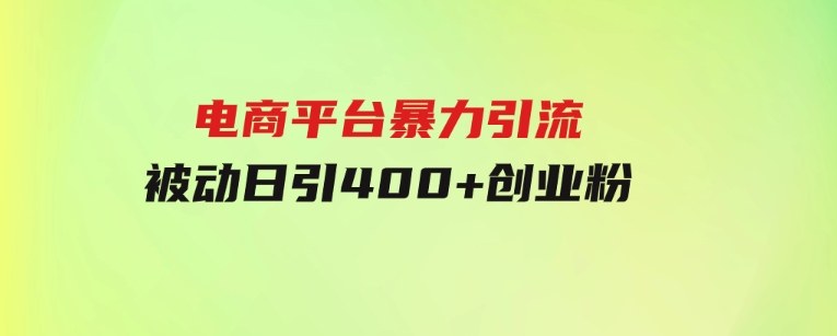 电商平台暴力引流,被动日引400+创业粉不发作品，不截流，不发私信-大磊资源网