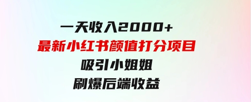 一天收入2000+，最新小红书颜值打分项目，吸引小姐姐，刷爆后端收益-大磊资源网