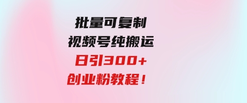 批量可复制！视频号纯搬运日引300+创业粉教程！-大磊资源网