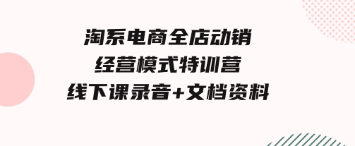 淘系电商全店动销经营模式特训营，线下课录音+文档资料-大磊资源网