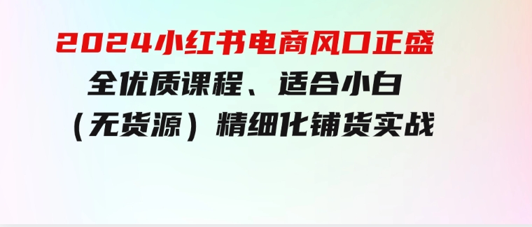 2024小红书电商风口正盛，全优质课程、适合小白（无货源）精细化铺货实战-大磊资源网