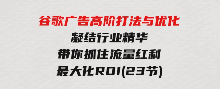 谷歌广告高阶打法与优化，凝结行业精华/带你抓住流量红利/最大化ROI(23节)-大磊资源网