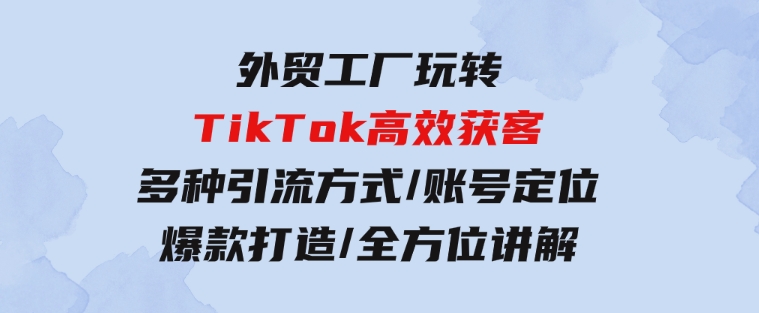 外贸工厂玩转TikTok高效获客，多种引流方式/账号定位/爆款打造/全方位讲解-大磊资源网