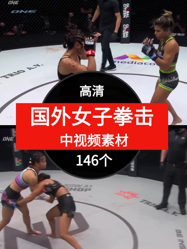 国外女子拳击视频素材中视频素材-146个-大磊资源网