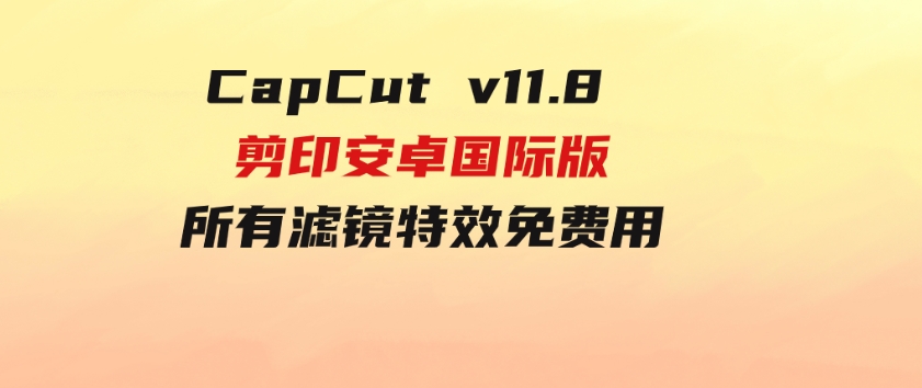 CapCutv11.8剪印安卓国际版、所有滤镜特效免费用-大磊资源网