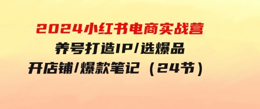 2024小红书电商实战营，养号打造IP/选爆品/开店铺/爆款笔记/等等（24节）-大磊资源网