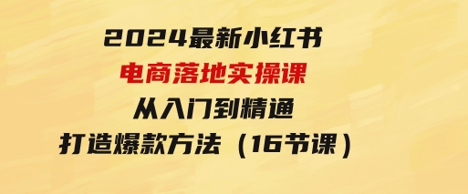 2024最新小红书电商落地实操课，从入门到精通，打造爆款方法（16节课）-大磊资源网