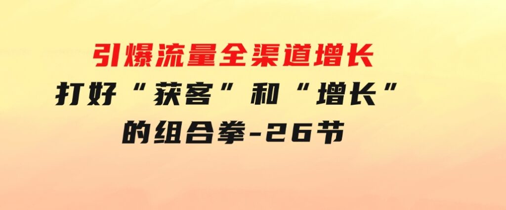 引爆流量全渠道增长，打好“获客”和“增长”的组合拳-26节-大磊资源网