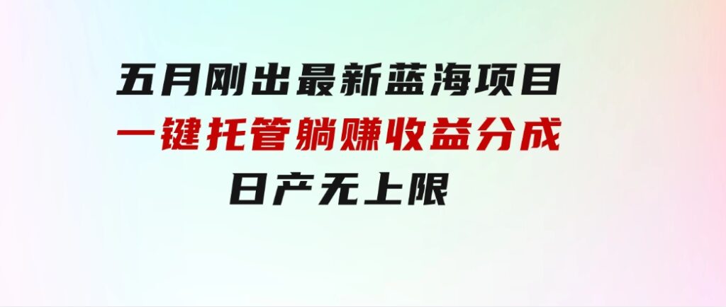 五月刚出最新蓝海项目一键托管躺赚收益分成日产无上限-大磊资源网