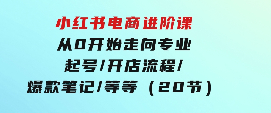 小红书电商进阶课：从0开始走向专业起号/开店流程/爆款笔记/等等（20节）-大磊资源网