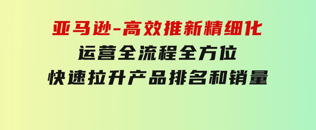 亚马逊-高效推新精细化运营全流程，全方位、快速拉升产品排名和销量-大磊资源网