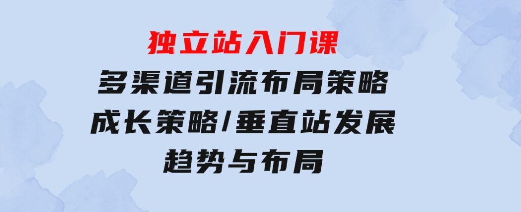 独立站入门课：多渠道引流布局策略/成长策略/垂直站发展趋势与布局-大磊资源网