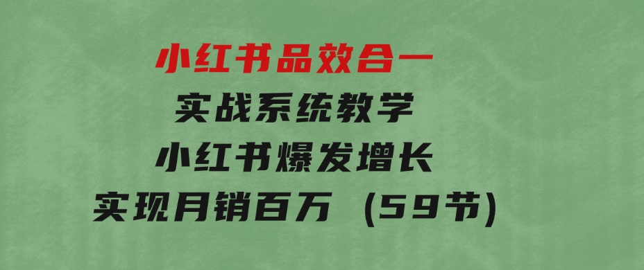 小红书品效合一实战系统教学：小红书爆发增长，实现月销百万(59节)-大磊资源网