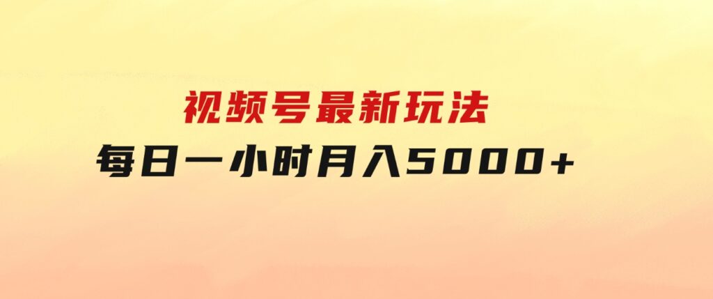 视频号最新玩法，每日一小时月入5000+-大磊资源网