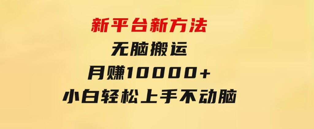 新平台新方法，无脑搬运，月赚10000+，小白轻松上手不动脑-大磊资源网