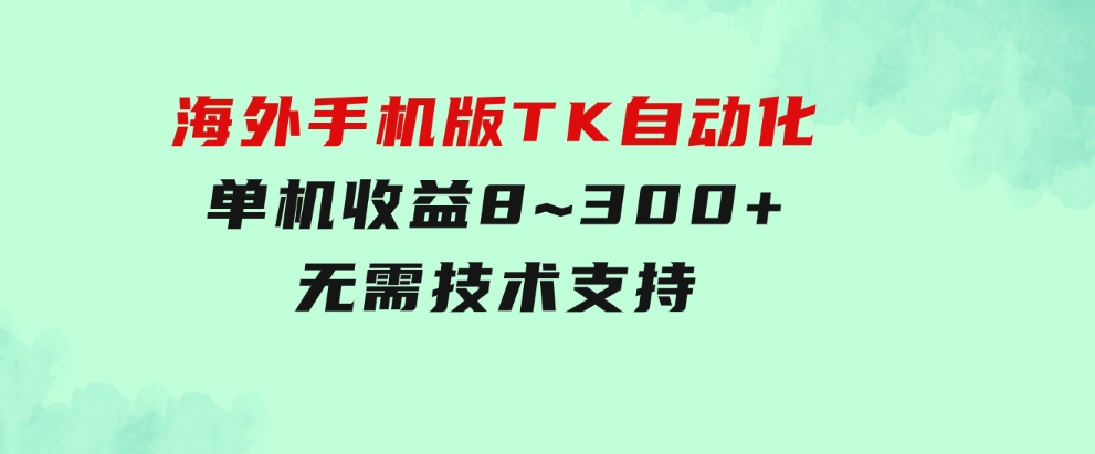 海外手机版TK自动化，单机收益8~300+，无需技术支持，新手小白均可操作-大磊资源网