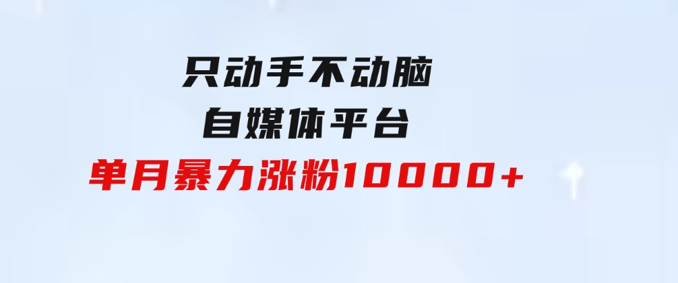 只动手不动脑，自媒体平台单月暴力涨粉10000+-大磊资源网