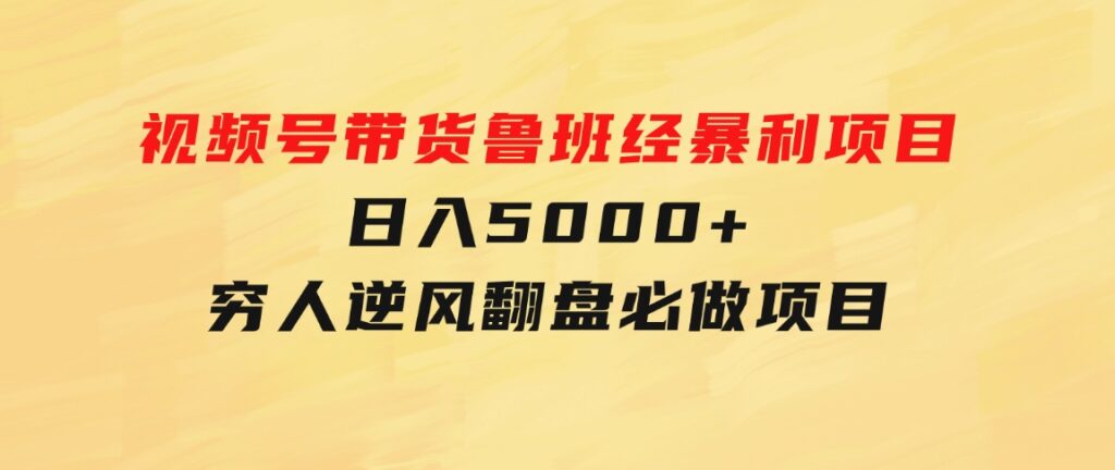 视频号带货鲁班经暴利项目，日入5000+，穷人逆风翻盘必做项目-大磊资源网