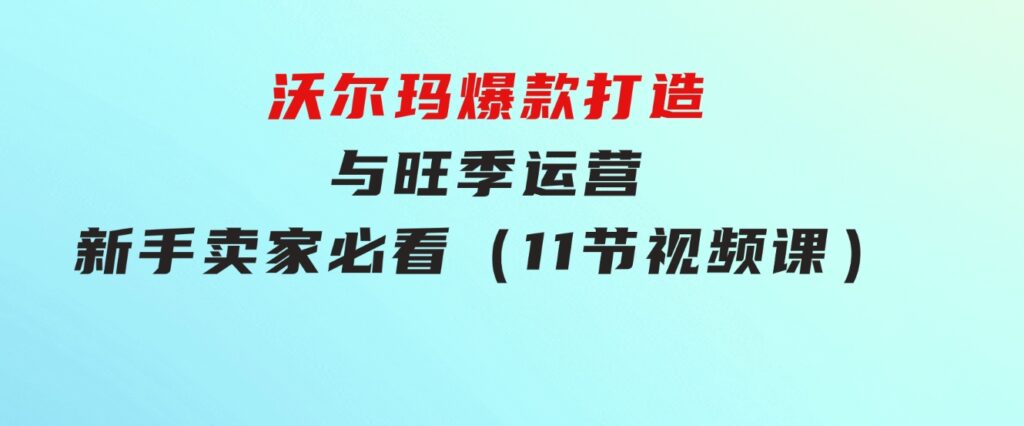 沃尔玛爆款打造与旺季运营，新手卖家必看（11节视频课）-大磊资源网