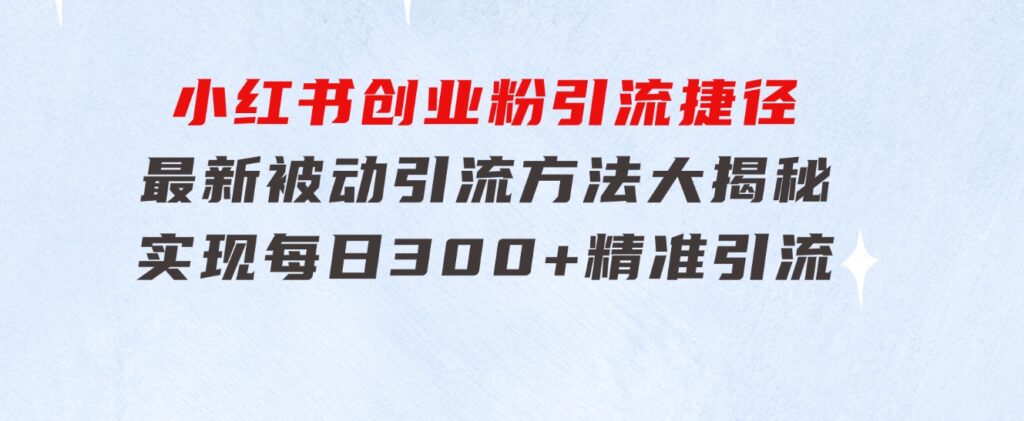 小红书创业粉引流捷径！最新被动引流方法大揭秘，实现每日300+精准引流-大磊资源网
