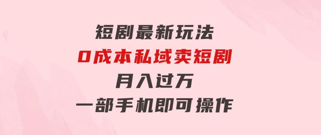 短剧最新玩法0成本私域卖短剧月入过万一部手机即可操作-大磊资源网