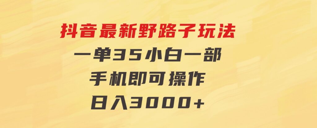 抖音最新野路子玩法，一单35，小白一部手机即可操作，，日入3000+-大磊资源网